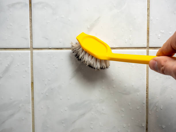 Best Toxic Mold Removal  in Copperton, UT