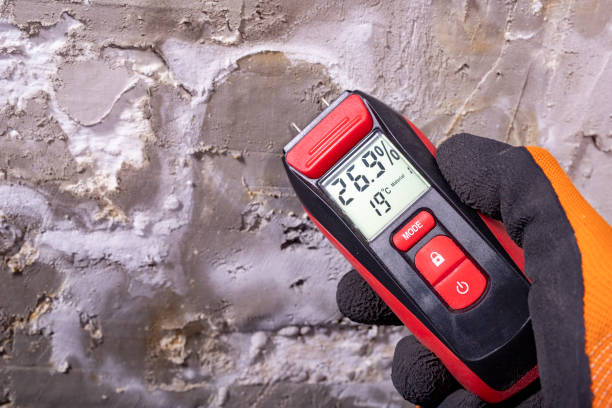 Best Crawl Space Mold Removal  in Copperton, UT