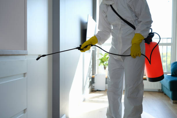 Best Certified Mold Removal  in Copperton, UT